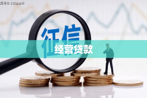 宾阳经营贷款