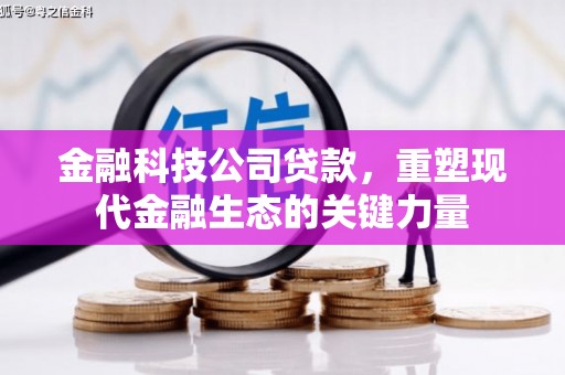 开化金融科技公司贷款，重塑现代金融生态的关键力量