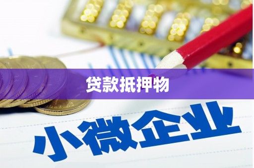 乌什贷款抵押物