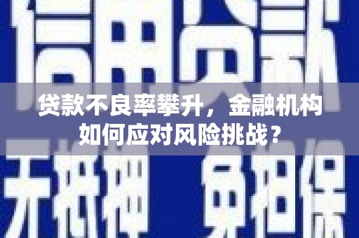 锡林浩特贷款不良率攀升，金融机构如何应对风险挑战？