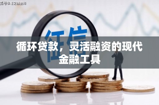 麻豆循环贷款，灵活融资的现代金融工具
