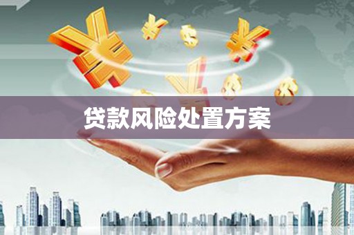唐山贷款风险处置方案