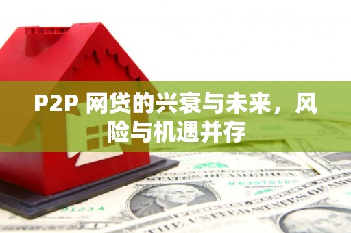 湖内P2P 网贷的兴衰与未来，风险与机遇并存