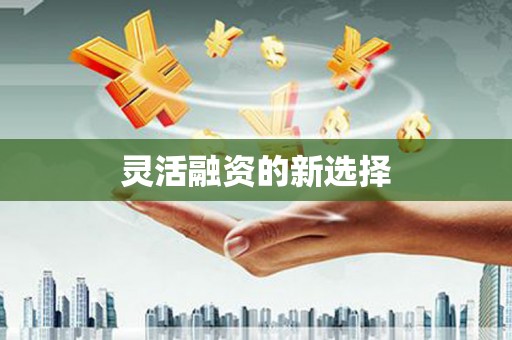 长宁灵活融资的新选择