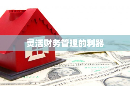 巧家灵活财务管理的利器
