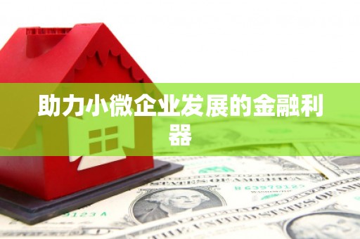 清涧助力小微企业发展的金融利器