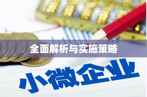 抚远全面解析与实施策略