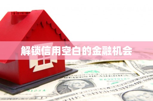 扶绥解锁信用空白的金融机会