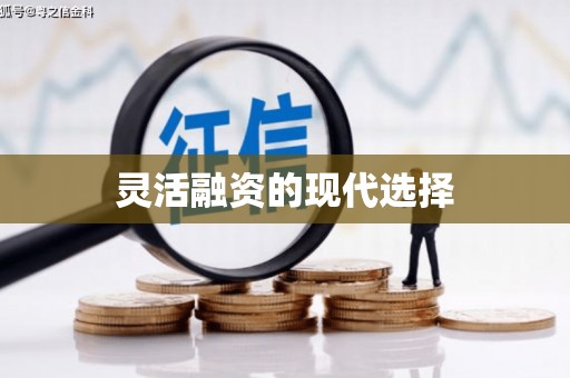 芒市灵活融资的现代选择
