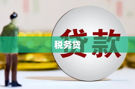 博湖税务贷