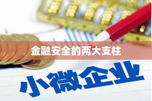 西峡金融安全的两大支柱