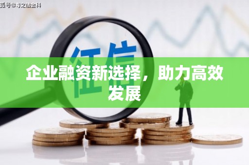 紫阳企业融资新选择，助力高效发展