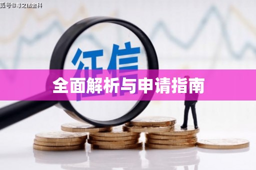 定安全面解析与申请指南