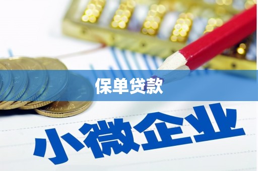 硚口保单贷款 硚口保单贷款